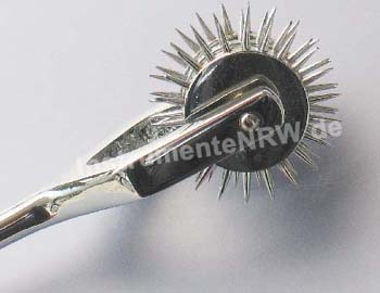 Nervenrad