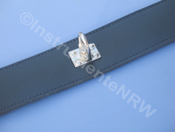 bdsm Halsband