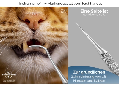 Zahnstocher