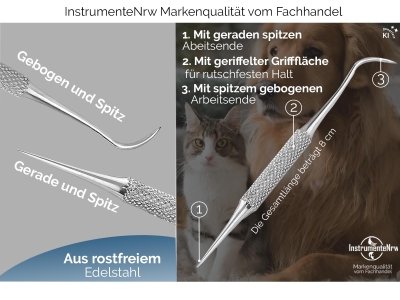 Zahnstocher