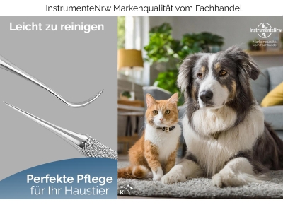 Zahnstocher