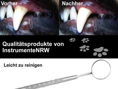 Mundspiegel Gr.6 mit Vergrerung
