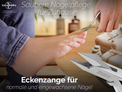 Eckenzange Nagelzange 15 cm Edelstahl Rostfrei