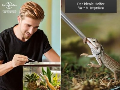 Aquarium Pinzette Gerade Futterpinzette Pflanzenpinzette 16,0 cm