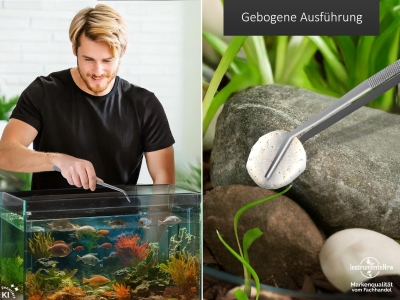 Futterpinzette Aquarium Terrarium Pinzette Gebogen Pflanzenpinzette 18,0 cm