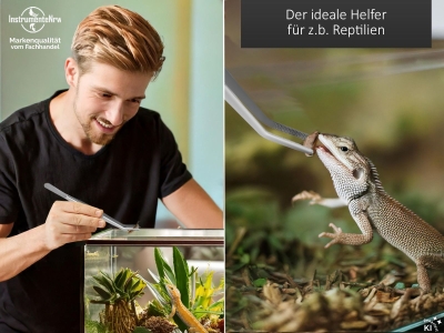 Futterpinzette Aquarium Terrarium Pinzette Gebogen Pflanzenpinzette 18,0 cm