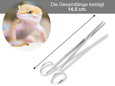 Profi Pflanzenschere Aquarium Terrarium Schere Gerade Edelstahl rostfrei 14,5 cm