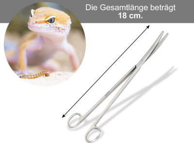 Pflanzenschere Aquarium Terrarium Schere Gebogen Edelstahl 18,0 cm