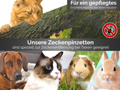 Premium Zeckenpinzette Zeckenzange Edelstahl Zecken Pinzette Hunde Katzen rostfreier Qualittsstahl Rot