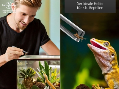 Premium Futterpinzette Aquarium Pinzette 10,5 cm mit V Zahnung aus geh�rtetem rostfreiem Edelstahl