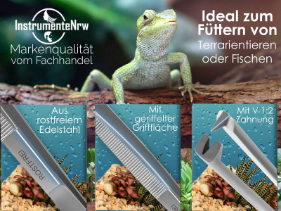 Premium Futterpinzette Aquarium Pinzette 14,5 cm mit V Zahnung aus gehrtetem rostfreiem Edelstahl