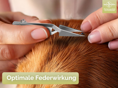 Kreuzpinzette Zeckenpinzette Zeckenzange f�r Tiere Hunde mit Schl��elanh�nger Idealer Zeckenentferner aus Edelstahl