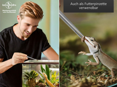 Profi Aquarium Terrarium Pinzette Wasserpflanzen Pflanzenpinzette aus Edelstahl Gerade Futterpinzette fr Aquarien und Terrarien 18,0 cm