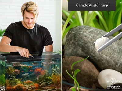 Profi Aquarium Terrarium Pinzette Wasserpflanzen Pflanzenpinzette aus Edelstahl Gerade Futterpinzette f�r Aquarien und Terrarien 9,0 cm