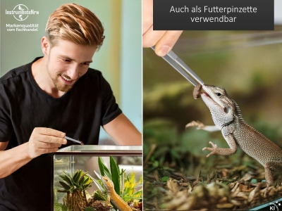 Profi Aquarium Terrarium Pinzette Wasserpflanzen Pflanzenpinzette aus Edelstahl Gerade Futterpinzette f�r Aquarien und Terrarien 10,5 cm
