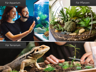 Profi Aquarium Terrarium Pinzette Wasserpflanzen Pflanzenpinzette aus Edelstahl Gerade Futterpinzette fr Aquarien und Terrarien 16,0 cm
