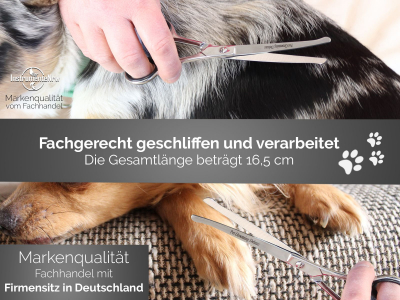 Gebogene Tier-Hunde-Haarschere Hochglanz Poliert mit Mikroverzah