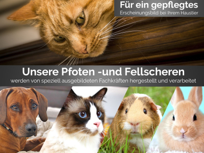 Fellschere aus Solingen Hundehaarschere 7 Zoll Made in Germany Haarschere gebogen mit einseitiger Mikroverzahnung - Rostfreier Edelstahl - Hundeschere fr die Fellpflege bei Hunden, Katzen, Haustieren