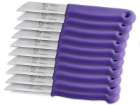 Obstmesser aus Solingen Sch�lmesser K�chenmesser 10er Set Lila Made in Germany Allzweckmesser Universal Messer mit Scharfer Messerklinge aus Rostfreiem Edelstahl inkl. Klingenschutz - Kurz