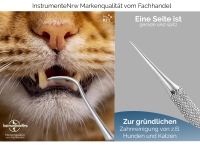 Zahnstocher