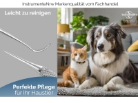 Zahnstocher