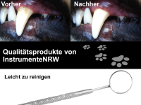 Mundspiegel Gr.6 mit Vergrerung