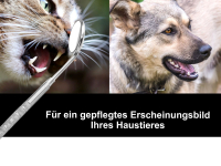 Mundspiegel Gr.6 mit Vergrerung