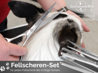 Hundescheren Komplett Set 7 Zoll