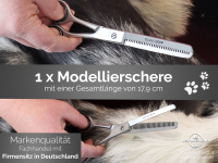 Hundescheren Komplett Set 7 Zoll