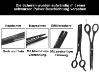 Friseur Scheren Set Haarschere Effilierschere Kamm 3 Teilig 6 Zoll 15.24 cm
