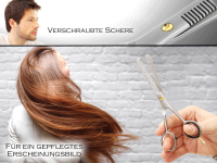 Effilierschere Haarschere Friseurschere 15,24 cm Modellierschere Edelstahl Rostfrei Haarschneideschere mit Scharfer Schneide fr einen perfekten Haarschnitt 6 Zoll