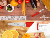 2-Teiliges Gemsemesser Set aus Solingen Obstmesser Mittelspitz Edelstahl Rostfrei
