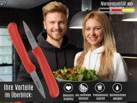 Gem�semesser Sch�lmesser Rot aus Solingen Messer K�chenmesser 4er Set Gerade Scharfes Allzweckmesser Made in Germany Edelstahl Rostfrei D�nnschliff Handabzug Sp�lmaschinengeeignet