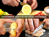 Schälmesser Solingen Gemüsemesser Vogelschnabel Tourniermesser Geschmiedet aus Rostfreiem Edelstahl Made in Germany Universal Messer 17,5 cm