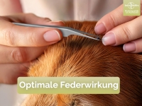 Uhrmacherpinzette Pinzette gebogen