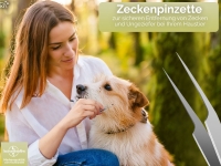 Uhrmacherpinzette Pinzette gebogen