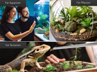 Futterpinzette Pinzette gerade 60cm rostfrei Aquarium