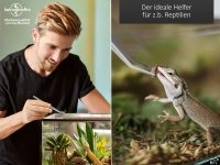 Futterpinzette Aquarium Terrarium Pinzette Gebogen Pflanzenpinzette 14,0 cm