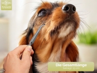 Zeckenzange Zeckenpinzette f�r Hunde Katze und weitere Tiere Haustiere Pinzette aus Edelstahl Rostfrei Zeckenentferner Universell einsetzbarer