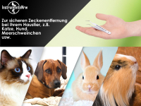 Premium Zeckenpinzette Zeckenzange Edelstahl Zecken Pinzette Hunde Katzen rostfreier Qualittsstahl Wei