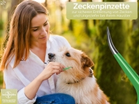 Premium Zeckenpinzette Zeckenzange Edelstahl Zecken Pinzette Hunde Katzen rostfreier Qualit�tsstahl Gr�n