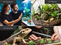 Premium Futterpinzette Aquarium Pinzette mit V Zahnung 35 cm aus geh�rtetem rostfreiem Edelstahl