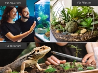 Premium Futterpinzette Aquarium Pinzette mit V Zahnung 45 cm aus geh�rtetem rostfreiem Edelstahl