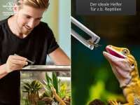 Premium Terrarium Futterpinzette Aquarium Pinzette mit V Zahnung 13 cm aus geh�rtetem rostfreiem Edelstahl