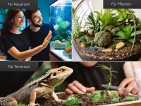 Premium Terrarium Futterpinzette Aquarium Pinzette mit V Zahnung 13 cm aus geh�rtetem rostfreiem Edelstahl