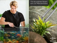 Premium Futterpinzette Aquarium Pinzette mit V Zahnung 16 cm aus geh�rtetem rostfreiem Edelstahl