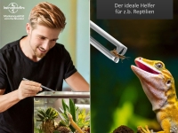 Premium Futterpinzette Aquarium Pinzette mit V Zahnung 16 cm aus geh�rtetem rostfreiem Edelstahl