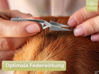 Kreuzpinzette Zeckenpinzette Zeckenzange f�r Tiere Hunde mit Schl��elanh�nger Idealer Zeckenentferner aus Edelstahl