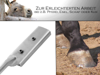 Hufraspel Huffeile Huftrimmwerkzeug Edelstahl Rostfrei 100 cm
